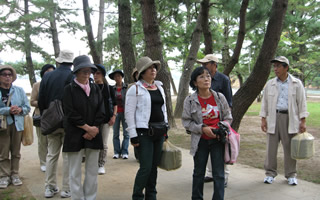 歴史探訪
